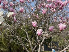 -京东大溶洞景区