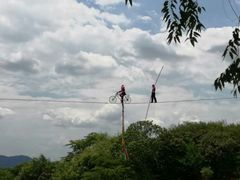 -泉州海丝野生动物世界