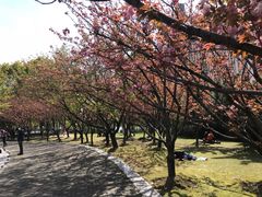 -苏州河梦清园环保主题公园