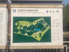 -白洋淀景区