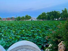 -长春市南湖公园