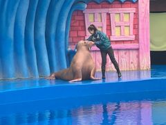 -华夏文旅海洋公园