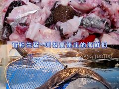 -高佳庄·舟山海鲜(海景旗舰店)