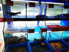 -小龍鳳·港式海鲜打边炉(沙湖路店)