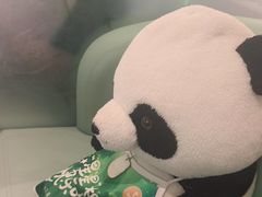 -眉州东坡·熊猫主题餐厅(枫蓝店)