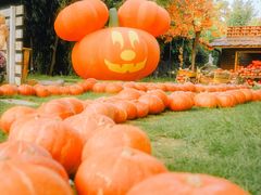 -HERRE·FARM 赫尔露营农场·团建聚会包场