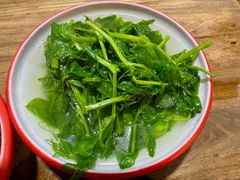 烫豌豆尖-朱大嘴肥肠血旺(福字街店)