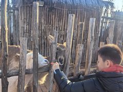 -白鹿原影视城
