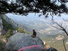 -庐山风景区花径公园