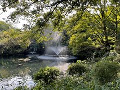 -井之头恩赐公园