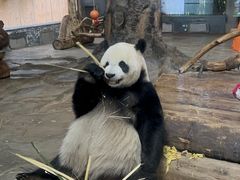 -海南热带野生动植物园