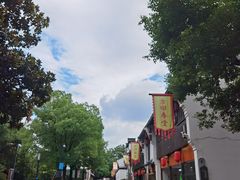 -运河游船(武林门码头)