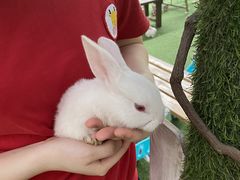 -全优加早教托育园(广百新一城店)