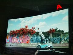 -枫花园汽车电影院(朝阳公园店)