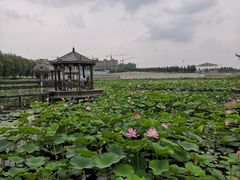 -卧龙湖