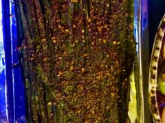 -六福烧烤酒馆(秦隆步行街店)