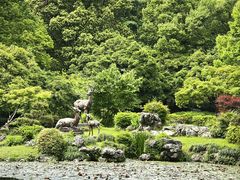 -杭州植物园