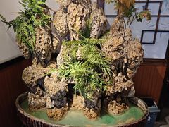 -成老灶火锅鸡(平山店)