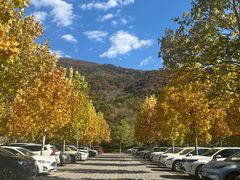 -北京十三陵国家森林公园蟒山景区
