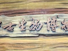 -辽宁古生物博物馆
