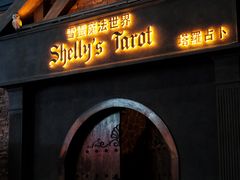 -雪灵魔法世界SHELLY’S TAROT(大良桂畔里店)