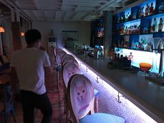 -Sirena海妖日咖夜酒