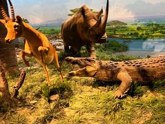 -国家自然博物馆