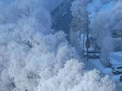 -丁香湖公园