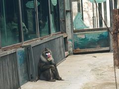 -鄂尔多斯野生动物园