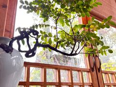 -瑭风赏阁