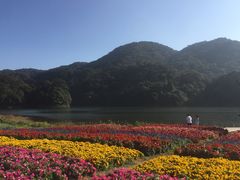-广州市石门国家森林公园