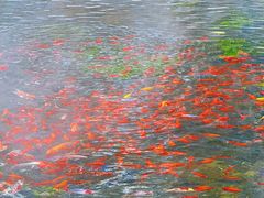 -水磨沟公园