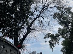 -长春观