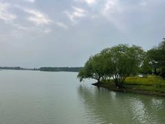 -贡湖湾湿地公园