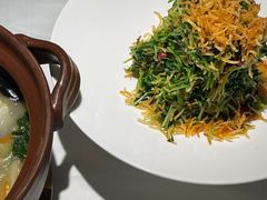 巧拌豆苗-四季民福烤鸭店(王府井东安门店)