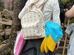 -黄山光明顶山庄