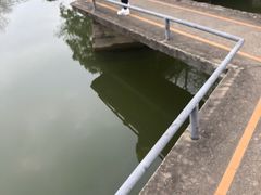-雨湖公园