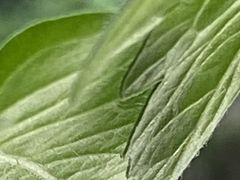 -宜昌富力皇冠假日酒店·咖啡1号西餐厅