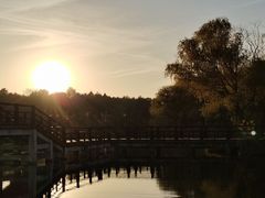 -苏州太湖国家湿地公园