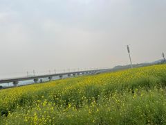 -光明小镇欢乐田园