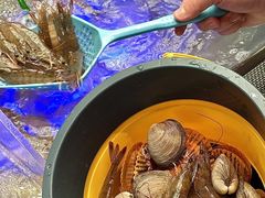 -深圳温德姆至尊酒店