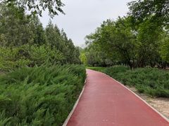 -绿堤公园
