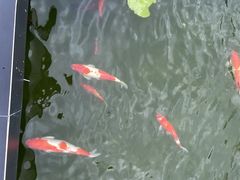 -濮园 · 四合院餐厅