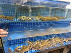 -打酱友•斑鱼海鲜粥火锅(吴桥店)