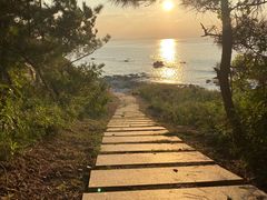 -养马岛旅游度假区