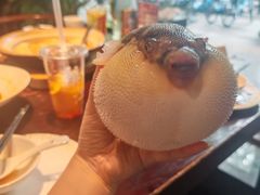 气鼓鼓的河豚-永安鱼庄·镇江菜(东吴路店)