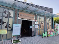 -华侨城湿地公园