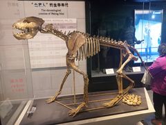 -北京周口店北京人遗址博物馆