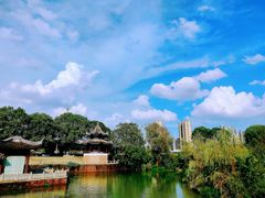 -八大山人梅湖景区