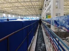 -乔波室内滑雪场